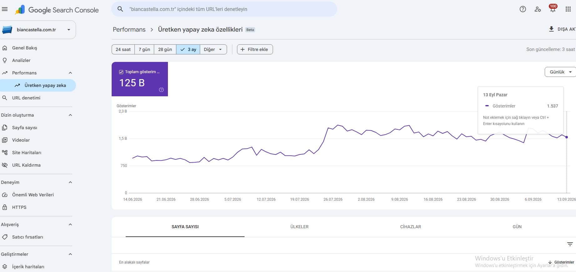 Bianca Stella: Üretken Yapay Zekâda 3 Ayda 125 Bin Gösterim Search Console ekran görüntüsü